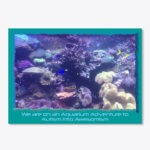 560 aquarium sticker