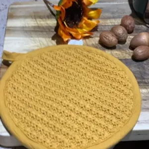 Pumpkin Pot Holder